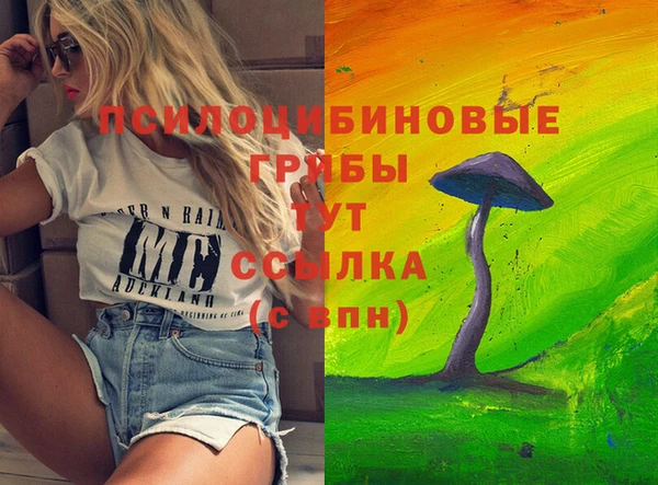 дмт Белокуриха