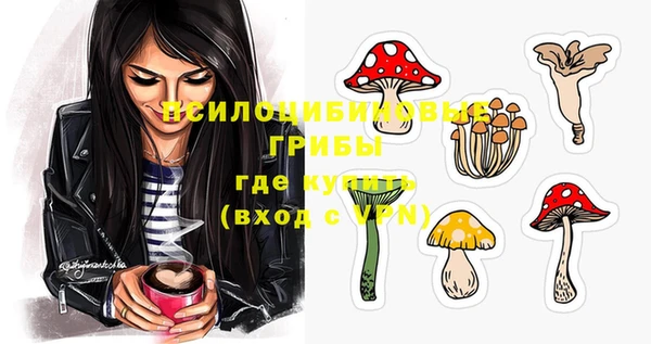 дмт Белокуриха