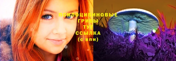 дмт Белокуриха