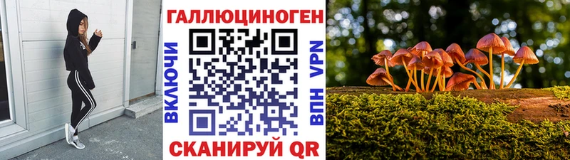 Галлюциногенные грибы Cubensis Хилок
