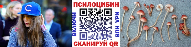 это Telegram  Хилок  Псилоцибиновые грибы Magic Shrooms  купить  сайты 